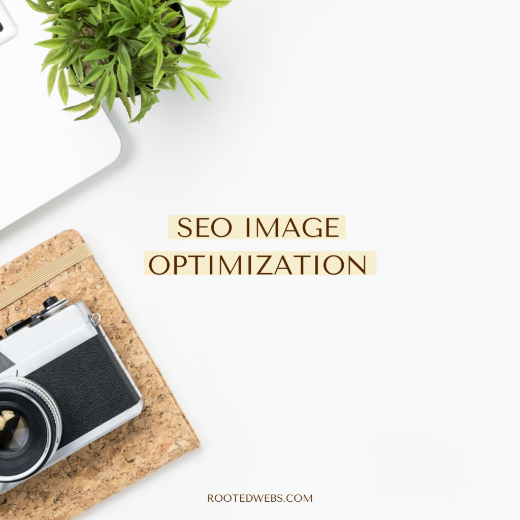 seo-image-optimization-rooted-webs